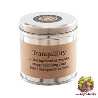 Спокойствие Ароматическая свеча в металле St Eval candle co.
