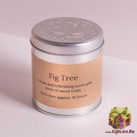 Инжирное дерево Свеча в металле St Eval candle co.