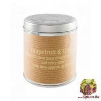 Грейпфрут и лайм Свеча в металле St Eval candle co.
