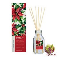 Пуансеттия на счастье Ароматический диффузор Wax Lyrical